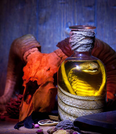 are roses toxic to cats